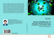 Copertina di Genetic Modification of Amylase Producing Fungi