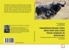 PARAMPHISTOMUM CERVI INFECTION AND LIVER TISSUE DAMAGE IN BUFFALOES的封面
