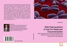 Copertina di DNA Polymorphism A Tool For Molecular Characterization
