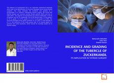 Copertina di INCIDENCE AND GRADING OF THE TUBERCLE OF ZUCKERKANDL