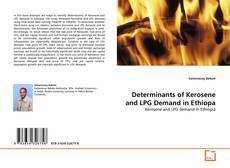 Copertina di Determinants of Kerosene and LPG Demand in Ethiopa