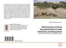 Copertina di Determinants of Rural Household Micro-Credit Utilization and Repayment