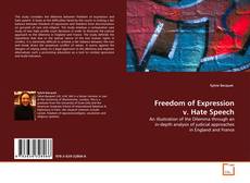 Copertina di Freedom of Expression v. Hate Speech