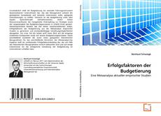 Couverture de Erfolgsfaktoren der Budgetierung
