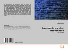 Programmierung einer Internetsperre的封面