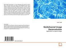 Copertina di Multichannel Image Deconvolution