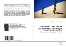 Copertina di Peri-Urban Land Tenure Transformation in Ethiopia