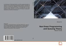 Copertina di Non-linear Programming and Queuing Theory