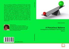 Bookcover of A Precarious Balance