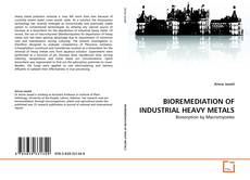 Copertina di BIOREMEDIATION OF INDUSTRIAL HEAVY METALS