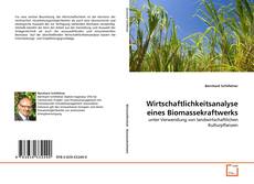 Wirtschaftlichkeitsanalyse eines Biomassekraftwerks kitap kapağı
