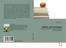 Copertina di Beliefs and Strategies