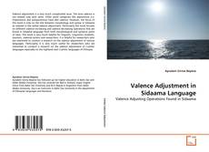Copertina di Valence Adjustment in Sidaama Language