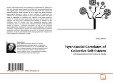 Обложка Psychosocial Correlates of Collective Self-Esteem