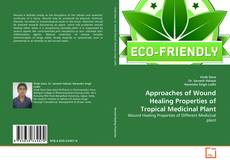 Approaches of Wound Healing Properties of Tropical Medicinal Plant的封面