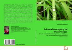 Schwefelversorgung im Winterweizen的封面