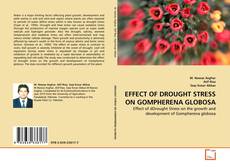 Copertina di EFFECT OF DROUGHT STRESS ON GOMPHERENA GLOBOSA