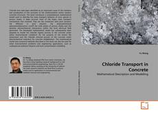 Chloride Transport in Concrete的封面