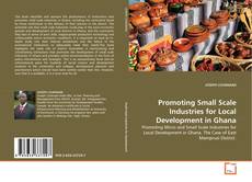Promoting Small Scale Industries for Local Development in Ghana的封面