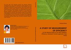 Copertina di A STUDY OF MEASUREMENT OF EFFICIENCY