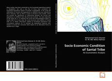 Bookcover of Socio Economic Condition of Santal Tribe