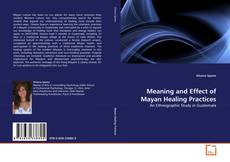Copertina di Meaning and Effect of Mayan Healing Practices