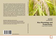 Capa do livro de Rice Physiology and Productivity: 
