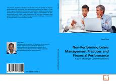 Copertina di Non-Performing Loans Management Practices and Financial Performance
