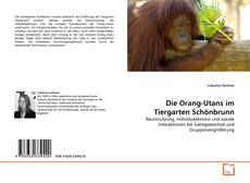 Die Orang-Utans im Tiergarten Schönbrunn kitap kapağı