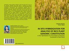 Couverture de IN SITU HYBRIDIZATION FOR ANALYSIS OF RICE PLANT GENOMIC CONSTITUTION