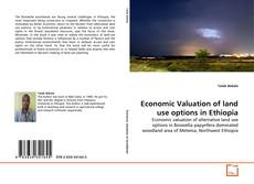 Buchcover von Economic Valuation of land use options in Ethiopia