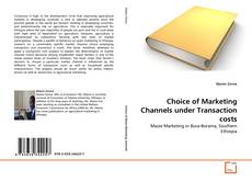 Couverture de Choice of Marketing Channels under Transaction costs