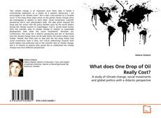 What does One Drop of Oil Really Cost?的封面