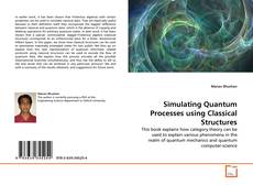 Simulating Quantum Processes using Classical Structures kitap kapağı