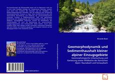 Geomorphodynamik und Sedimenthaushalt kleiner alpiner Einzugsgebiete的封面