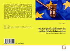 Обложка Bindung des Zivilrichters an strafrechtliche Erkenntnisse