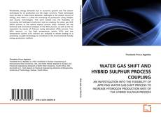 WATER GAS SHIFT AND HYBRID SULPHUR PROCESS COUPLING的封面
