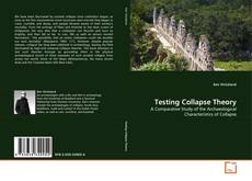 Copertina di Testing Collapse Theory