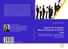 Couverture de Support for European Micro-enterprises at the EU-level