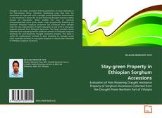 Copertina di Stay-green Property in Ethiopian Sorghum Accessions