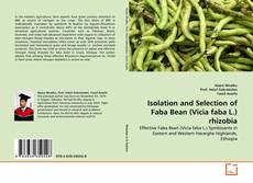 Couverture de Isolation and Selection of Faba Bean (Vicia faba L.) rhizobia