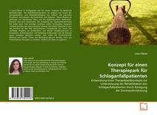 Copertina di Konzept für einen Therapiepark für Schlaganfallpatienten