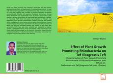 Bookcover of Effect of Plant Growth Promoting Rhizobacteria on Tef (Eragrostis Tef)