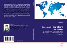 Opossums - Beuteltiere Amerikas kitap kapağı