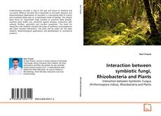 Bookcover of Interaction between symbiotic fungi, Rhizobacteria and Plants