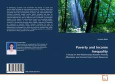Poverty and Income Inequality kitap kapağı