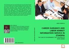 CAREER GUIDANCE AND LABOR MARKET INFORMATION SERVICE IN ETHIOPIA的封面