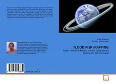 FLOOD RISK MAPPING的封面