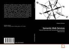 Semantic Web Services的封面