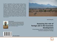 Copertina di Assessing the role of foreign aid in the Economic development
